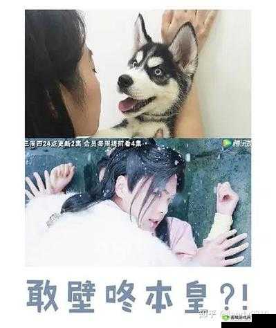 九州天空城3D，探索与捕捉——原谅猫位置详解