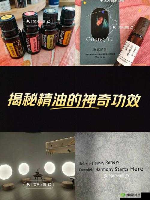 炼金与魔法木棉精油制作方法,探索神秘的制作工艺
