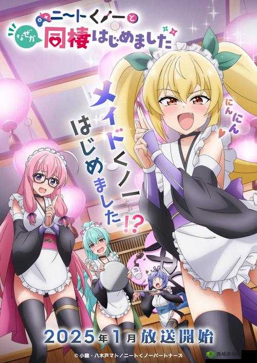 少女动漫在线观看第七集,精彩剧情等你来解锁,大家都在看什么?