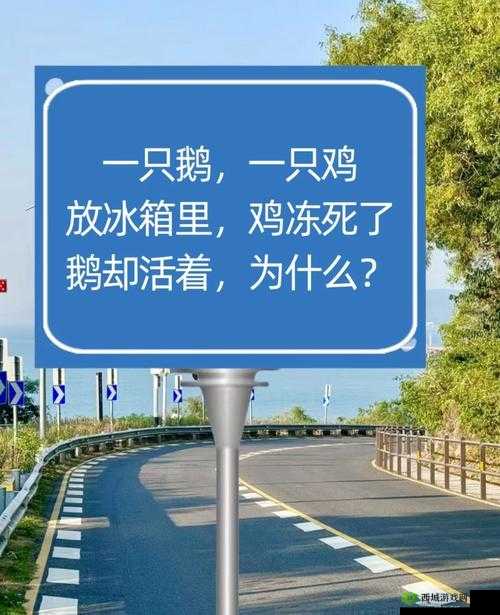 这题太难了第13关怎么过？小狗去哪儿了通关攻略的演变史